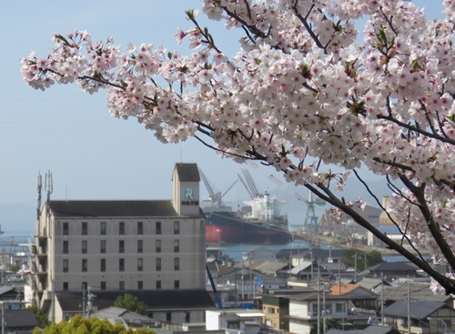 桜とRITA学園